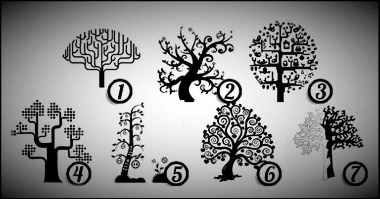 Виберіть дерево, що сподобалося вам більше за інших, та дізнайтеся, чи здатні ви на зраду!