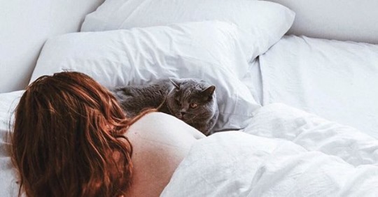 Берете кошку в постель: вот что вам нужно знать