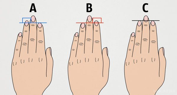 Ось що довжина пальців руки говорить про ваш характер! Подивіться на свою руку і порівняйте довжину вказівного і безіменного пальців!