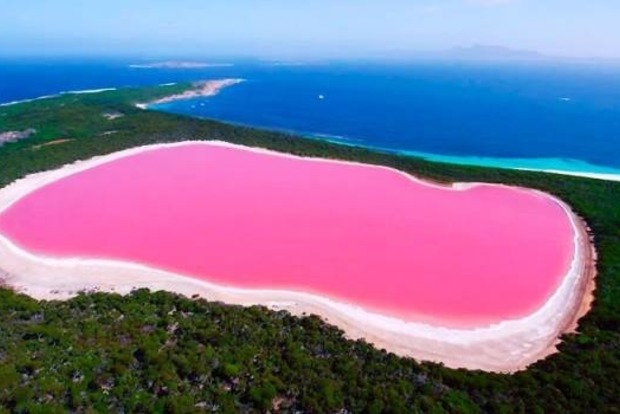 Рожеве Лемурійське озеро — диво України! Лікує шкіру, суглоби та…