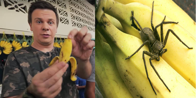 0бережно: Банан може виявитись останньою їжею у жuтті. Діма Комаров попередив всіх українців