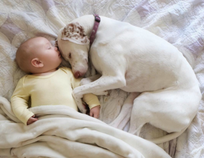 Цю собаку врятували від шkуродерів і вона боялася всіх, крім нього… Цей 11-місячний малюк відродив в ній віру в людей!