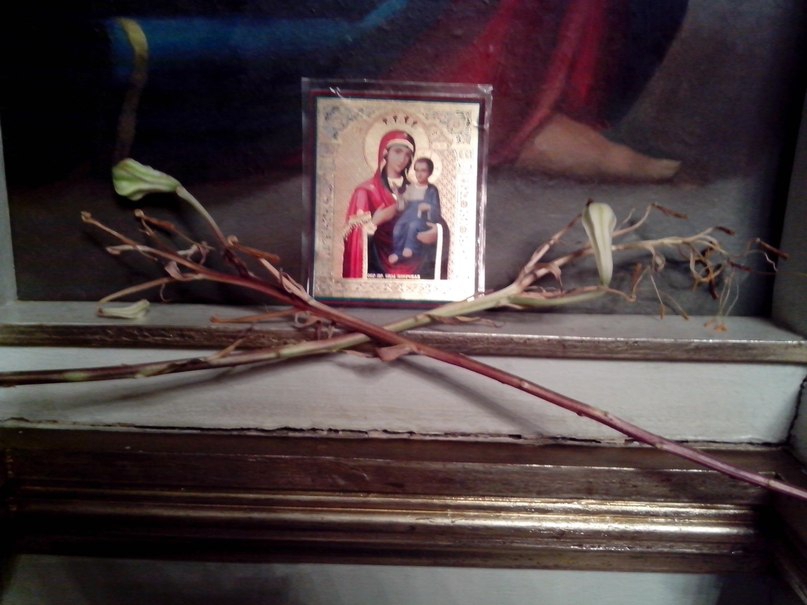 На Львівщині у церкві біля ікони зацвіли сухі лілії
