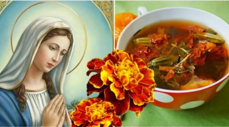 Квіти, які називають «золото Діви Марії». Вони допомагають лікувати багато хвороб