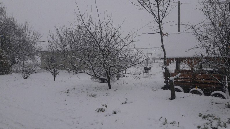 В Україну йде жахлива погода: крижані дощі і мокрий сніг