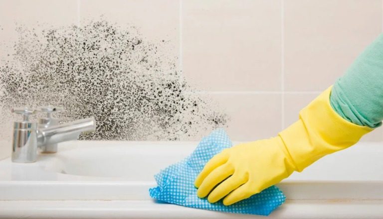 Як позбутися від цвілі у ванній і брудних швів між плиткою!