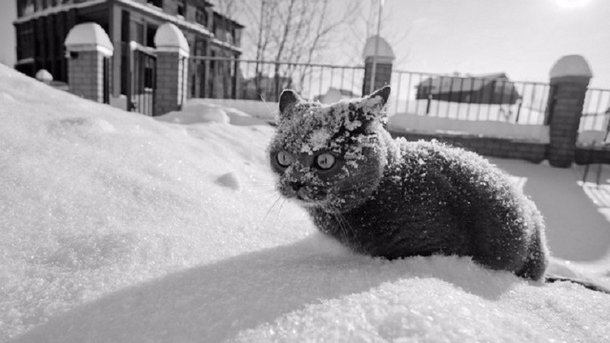 Морози до мінус 15°: синоптик розповів, коли до України прийде похолодання
