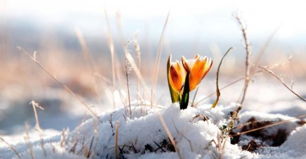 Україну чекають аномальні весна і літо в 2021 році! Синоптики попередили, що погода буде дуже небезпечною!