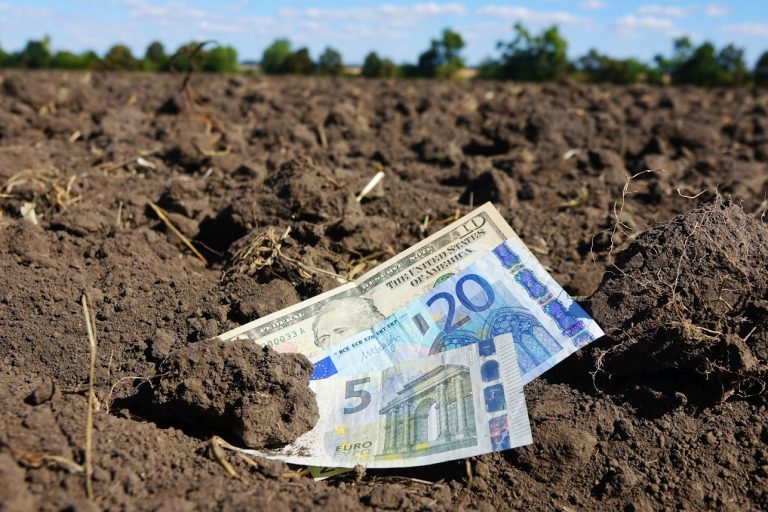 Ринок землі: в Кабміні назвали орієнтовну вартість гектара землі в Україні!