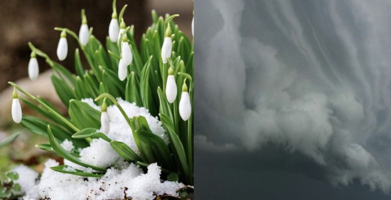 Весна скасовується, українців приголомшили прогнозом погоди і попередили про небезпеку: “1 і 2 березня…”